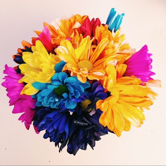 Meet your Posher, Maria - Picture 1 of 1